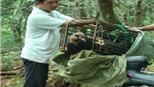 Bình Phước: Bắt giữ đối tượng vận chuyển thú rừng trái phép